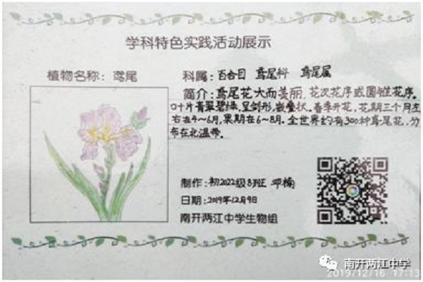 学趣 | 妙笔丹青巧手绘,校园植物名片生 - 重庆市南开两江中学校